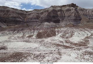 Petrified Forest National Park - Blue Mesa hike + logs