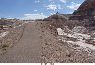 164 a03. Petrified Forest National Park - Blue Mesa hike