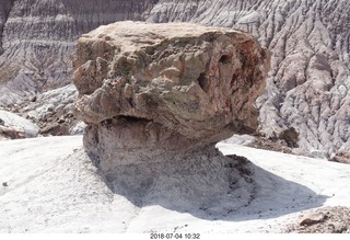 Petrified Forest National Park - Blue Mesa hike + petrified log