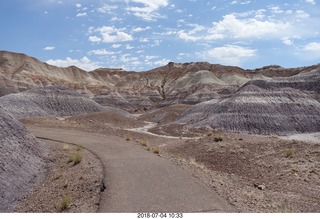 Petrified Forest National Park - Blue Mesa hike