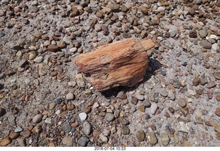 171 a03. Petrified Forest National Park - Blue Mesa hike + log