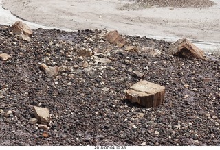 Petrified Forest National Park - Blue Mesa hike + log