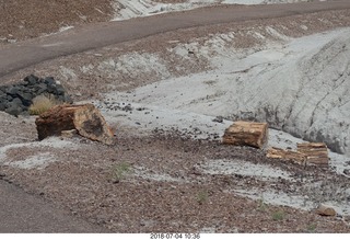 Petrified Forest National Park - Blue Mesa hike + logs