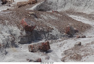 175 a03. Petrified Forest National Park - Blue Mesa hike + logs