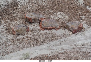 Petrified Forest National Park - Blue Mesa hike + petrified log