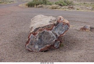 Petrified Forest National Park - Blue Mesa hike  + log