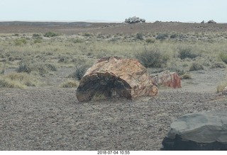 Petrified Forest National Park - Blue Mesa hike