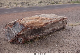 Petrified Forest National Park - Blue Mesa hike + log