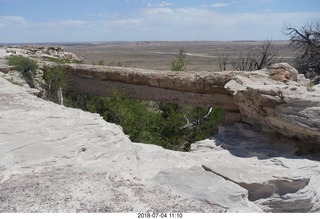 Petrified Forest National Park - petrified log bridge