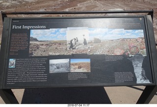 Petrified Forest National Park - petrified log