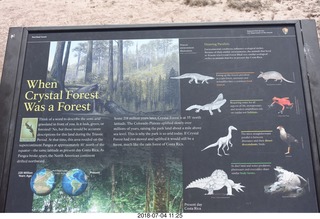 Petrified Forest National Park - Crystal Forest hike sign