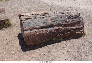 Petrified Forest National Park - Crystal Forest hike + petrified log