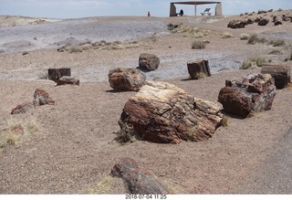 Petrified Forest National Park - Crystal Forest hike + petrified logs