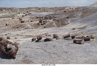 Petrified Forest National Park sign