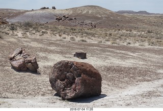 207 a03. Petrified Forest National Park - Crystal Forest hike + petrified logs