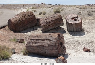 Petrified Forest National Park - Crystal Forest hike + petrified logs