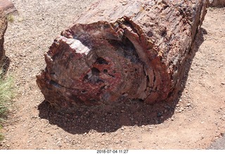 Petrified Forest National Park - Crystal Forest hike + petrified log