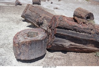 Petrified Forest National Park - Crystal Forest hike + petrified logs