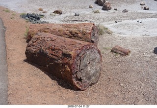 Petrified Forest National Park - Crystal Forest hike + petrified logs