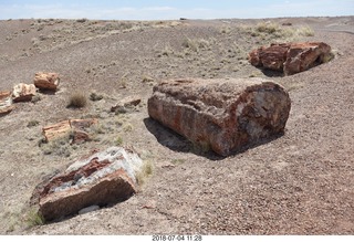 Petrified Forest National Park - Crystal Forest hike + petrified logs