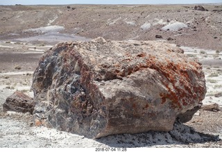 Petrified Forest National Park - Crystal Forest hike + petrified logs