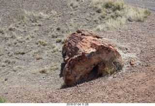 217 a03. Petrified Forest National Park - Crystal Forest hike + petrified log