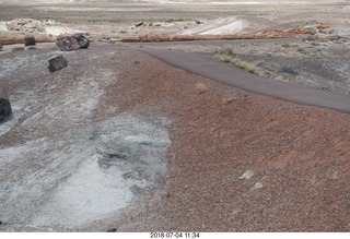 Petrified Forest National Park - Crystal Forest hike + petrified logs