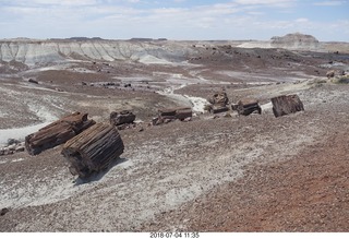 Petrified Forest National Park - Crystal Forest hike + petrified logs