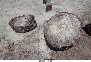 235 a03. Petrified Forest National Park - Crystal Forest hike + petrified logs