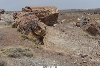 Petrified Forest National Park - Crystal Forest hike + petrified logs