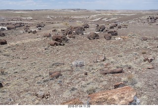 239 a03. Petrified Forest National Park - Crystal Forest hike + petrified logs