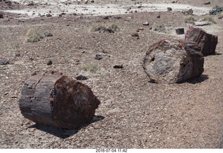 Petrified Forest National Park - Crystal Forest hike + petrified logs