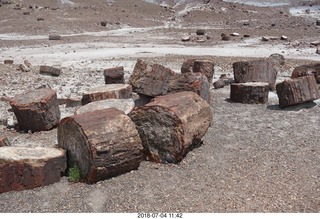 Petrified Forest National Park - Crystal Forest hike + petrified logs