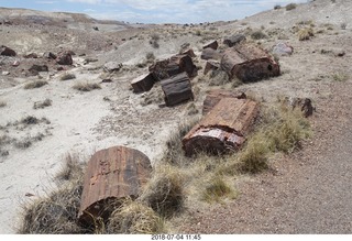 256 a03. Petrified Forest National Park - Crystal Forest hike + petrified logs