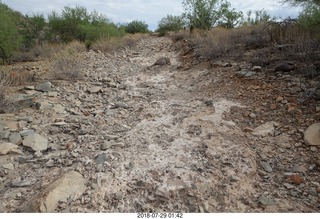 rocky hiking trail