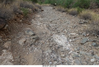 rocky hiking trail