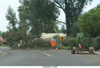 tree fell and broke the fence