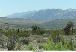 Las Vegas - Red Rock Canyon