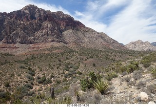 Las Vegas - Red Rock Canyon - thirteen mile drive - Pine Creek Canyon hike