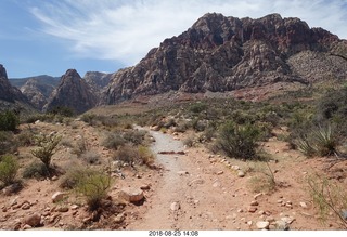 Las Vegas - Red Rock Canyon - thirteen mile drive - Pine Creek Canyon hike