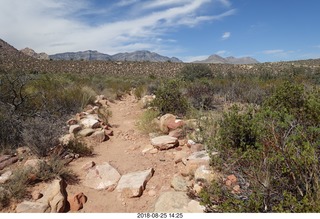 Las Vegas - Red Rock Canyon - thirteen mile drive - Pine Creek Canyon hike