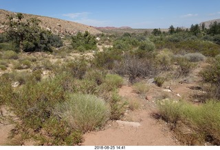 Las Vegas - Red Rock Canyon - thirteen mile drive - Pine Creek Canyon hike sign