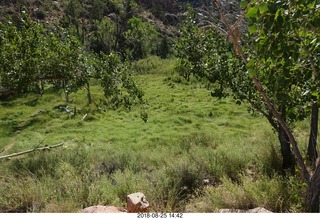 Las Vegas - Red Rock Canyon - thirteen mile drive - Pine Creek Canyon hike + Adam