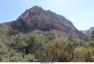 Las Vegas - Red Rock Canyon - thirteen mile drive - Pine Creek Canyon hike