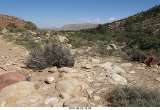 Las Vegas - Red Rock Canyon - thirteen mile drive - Pine Creek Canyon hike