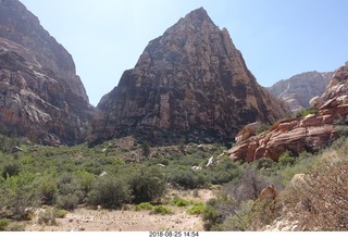 Las Vegas - Red Rock Canyon - thirteen mile drive - Pine Creek Canyon hike - old house foundation