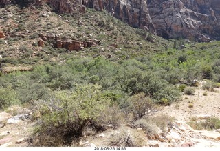 Las Vegas - Red Rock Canyon - thirteen mile drive - Pine Creek Canyon hike