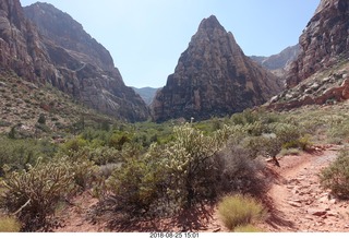 Las Vegas - Red Rock Canyon - thirteen mile drive - Pine Creek Canyon hike