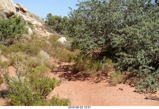 Las Vegas - Red Rock Canyon - thirteen mile drive - Pine Creek Canyon hike