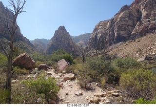 Las Vegas - Red Rock Canyon - thirteen mile drive - Pine Creek Canyon hike